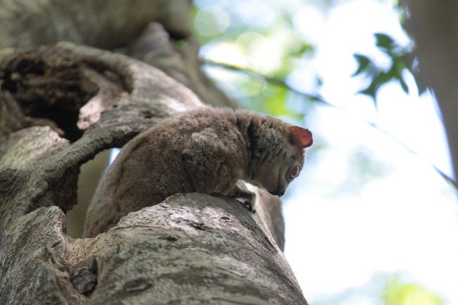 周りが気になるらしい