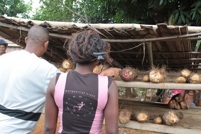 帰り道に立ち寄ったタロイモ専門店<br />