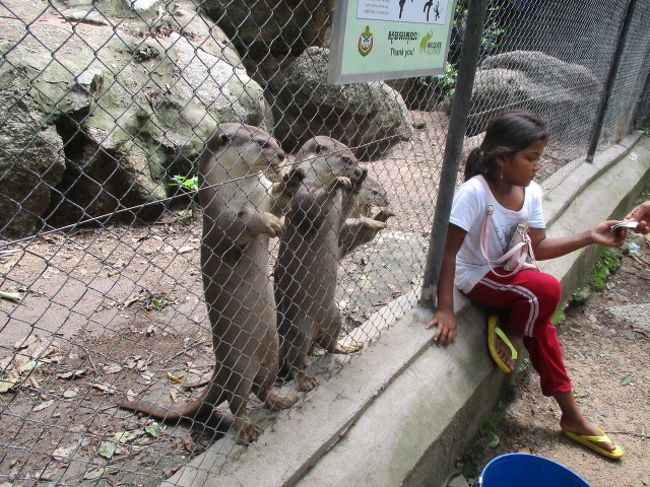 雨季だけど昼間は晴れのプノンペン5 タマウ動物園 プレアンコール遺跡 トンレバティ水上食堂 プノンペン カンボジア の旅行記 ブログ By Wakupaku2さん フォートラベル
