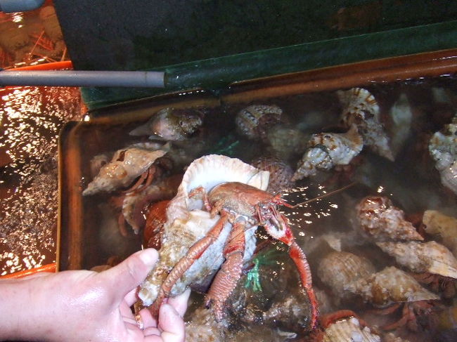 石門：富基漁港の海鮮市場