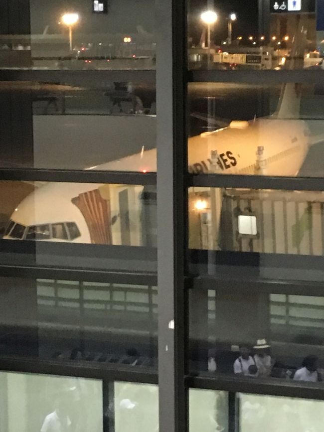 乗る飛行機。<br />ワクワクしてご機嫌のタロさんです。<br />おトイレを済ませたら搭乗します。