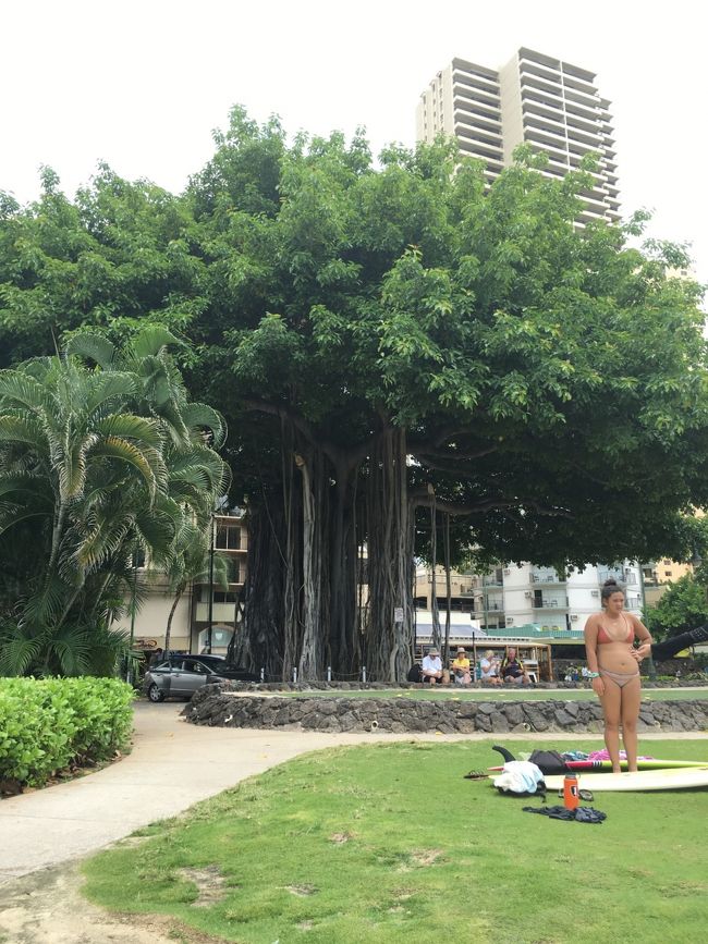 ワイキキビーチ。<br />デューク・カハナモク像にレイを手向けて…<br />お昼ゴハンへ行きまーす！！