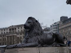トラファルガー・スクウェアのライオン像
