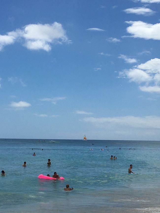 ２日目スタートです！<br /><br />起きたら、いい天気…<br />そういえば、嵐はどうした？！<br /><br />コンシェルジェさんに聞いたところ、夜のうちに接近するはずだった台風は、どっかに行っちゃったそうで…<br />昨日の到着時に聞いた週間天気は、ずーっと雨だったのに、今朝になったら晴に変わっていました〜ヤッタネ！<br /><br />タロさん、何気に晴れ男！<br />