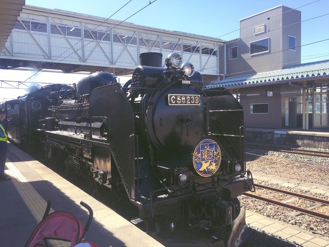 ついに念願のSL銀河に乗車です！<br />まずは、1号車でプラネタリウムの整理券を貰います。整理券は先着順ではなく、すぐに降りる人を優先的に見れる会にしてくれます。<br />とはいえ、新花巻乗車、宮守下車の場合は時間が短いため見れない人も出ていました。