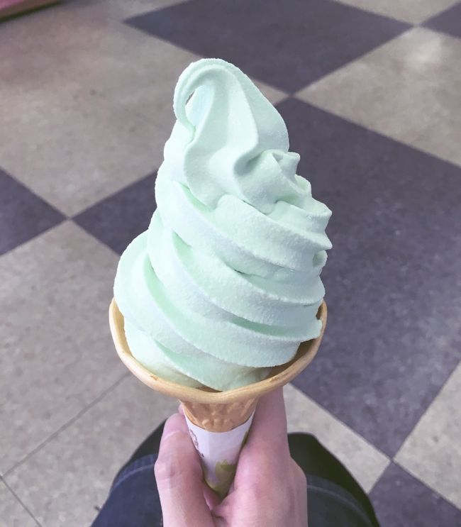 宮守はわさびが有名らしいので、わさびソフトをいただきました。<br /><br />その後再び宮守駅から新花巻へ、そして新幹線で東京へと戻りました。