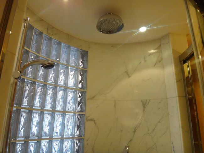 シャワーはこんな感じ。<br />大好きなレインシャワーも。