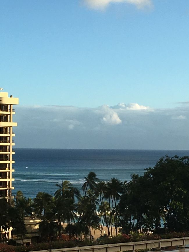 ４日目です☆<br /><br />今日は、唯一のオプショナルツアー参加日。<br />ハワイに着いてすぐ、天気予報と相談して一番マシそうだった(台風直撃のはずだったため)この日にノースショア観光をお願いしました。<br />大人２とタロさんで$１６０Σ（ﾟдﾟlll）<br /><br />お迎えに来てくれたのは、ムサシツアーさんのバン。<br />タロさん一家の他に２グループ、計３グループでノースショアへ向かいます。