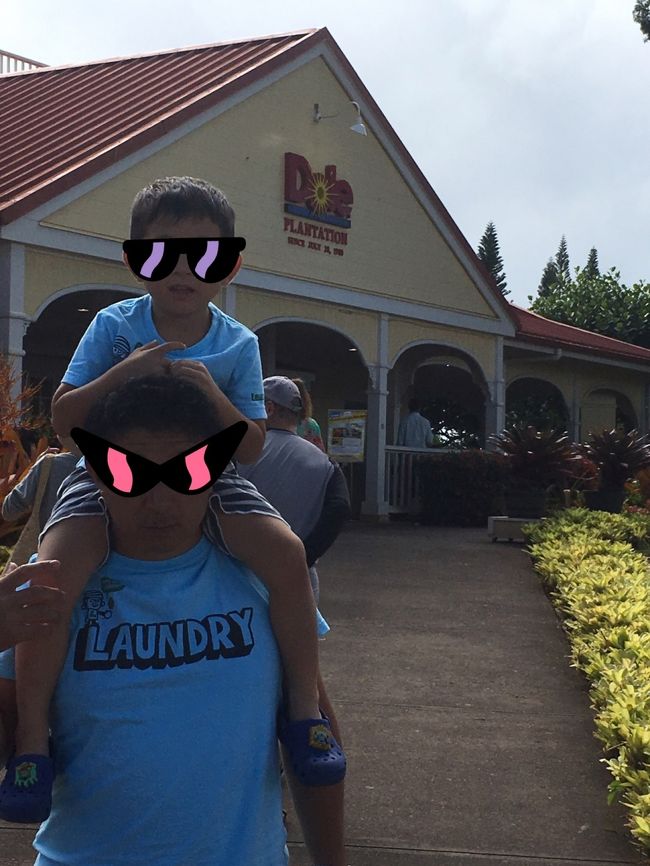 お決まりのドール・プランテーション。<br /><br />タロさん、パイナップル列車に乗りたくて乗りたくて…<br />でも、お土産屋さんを見るための立ち寄りだったので、そんな時間はなく…<br /><br />ゴメンよ、タロさん。次こそは！必ず乗ろうね、パイナップル列車。