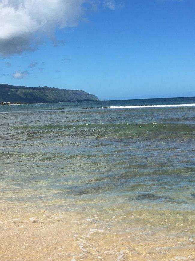 <br />砂浜へ到着、キョロキョロ見回しますが…いません、亀はお留守のようです(T_T)<br /><br />ガッカリ…していたら、近くで海水浴中のローカルファミリーが「亀だー！」<br /><br />よーく海中を見てみると…