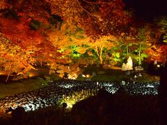 さて、宝厳院の17：30開門ライトアップに行こうと思い並ぶことに。混雑のせいか、17：20に開門しました。列の半分くらいまで進むと、嵐電とのセット券売り場がありました。これを買えばこの先並ばずに入ることができるとのことで、迷わず購入。ちなみに入場券のみは600円、セット券は700円なので、嵐電に乗らない人でもセット券買ったほうが良いような気もしたり…(並ばずに済むので…）。ちなみに後から発見したのですが、嵐電嵐山駅にもこのセット券売り場がありました！なのでライトアップを見に行く場合はこれを事前に購入しておくことをオススメします。

