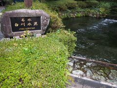 まずは白川水源です。




水が本当に綺麗で透き通っています。ここのお水は飲むこともでき、ペットボトルの販売もしています。
