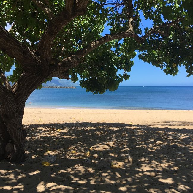 ハレイワ・レインボーブリッジを渡って少し進んだ所に、簡易シャワーなどがあるビーチ。<br />ローカルのファミリーが数組ピクニックしている感じです。<br />調べたんだけど、たぶんハレイワ・ビーチ・パークだと…