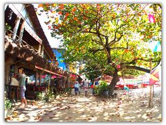 【イーリャ・グランジ】

ほぼ無人島に近い島でも、少人数を受け入れるだけの宿泊施設やそこそこのレストランは用意されています。

写真：我々が宿泊した小さな小さなロッジ：『Cama & Cafe pe na Areia』