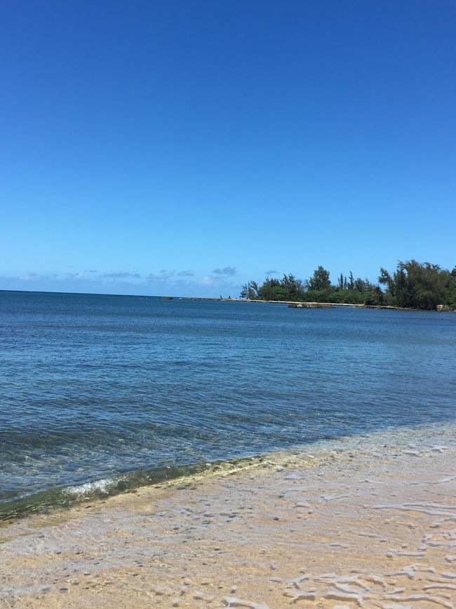 集合時間も決まっていたので、程よい頃合いで海を後にしました。<br /><br />橋を渡って、集合場所のノースショアマーケットプレイスまでノンビリ散策。<br /><br />シェイブアイスを持っている人を見かけたタロさん、「カキ氷食べたい〜」<br />よし！行ってみよう！<br />着いた先はマツモトシェイブアイス。<br />でも……ハレイワに着いた１１時には人は並んでなかったのに、今は長蛇の列。ダメだコリャ〜σ(^_^;)<br /><br />食べたいのに食べれないタロさん、ギャースカ言っています。<br />「じゃあ、かわいいＴシャツ買って、カキ氷は別のお店で食べよう」と話し納得。