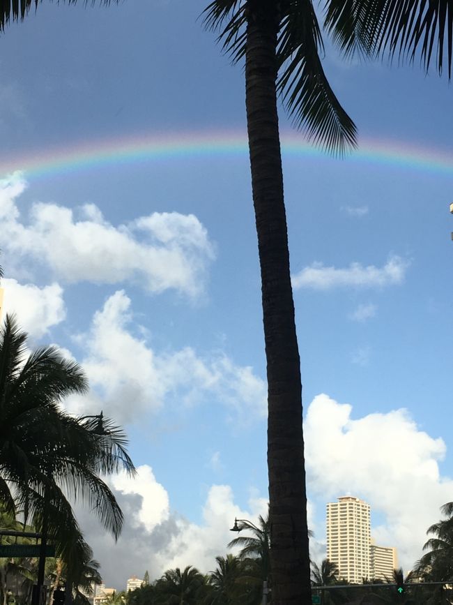 部屋にいる間にスコールあったみたいで、外に出たらキレイな虹が！！<br /><br />またハワイに戻って来れそうです♪