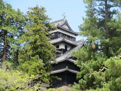 木の間から風格が漂う