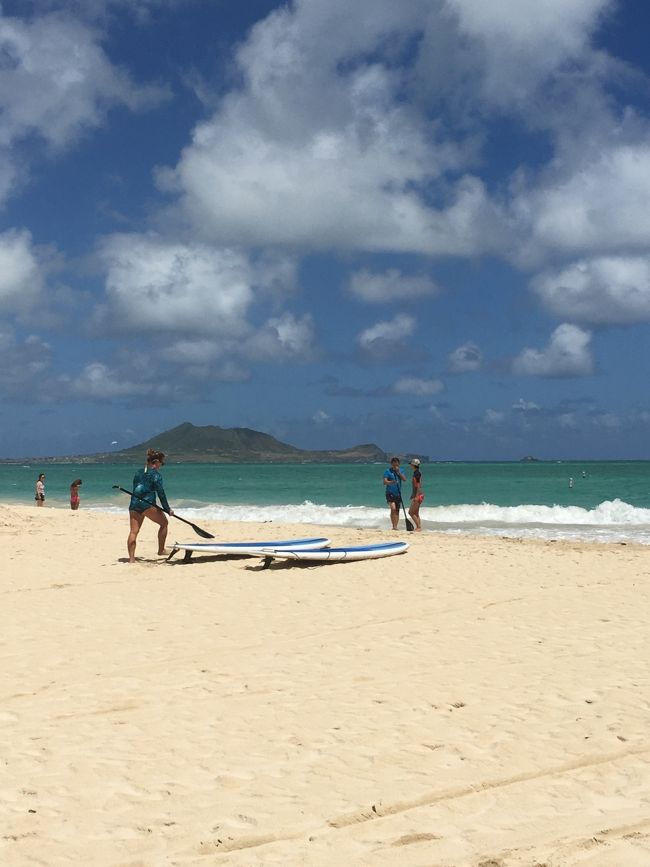 気持ちいい〜！<br /><br />…のも束の間、歩いて戻ると結構ありますね、距離。<br />太陽ギンギラギンだったので、汗ダクダクです。途中でタロさんバテて肩車となりました。<br />壁にいるヤモリ探しをしながらテクテク…テクテク…テクテク…<br /><br />や、やっと着いた〜！ブーツ＆キモズ！<br />だけど、ものすごい行列。TO GOするのもかなりの時間がかかりそう。。。なので、諦めま〜す（ ｉ _ ｉ ）<br /><br />ホールフーズマーケットに寄り…ラニカイジュースで何か飲みたいな〜なんて考えてバス停に立っていたら、バスが来ちゃったので乗り込みました。<br /><br />ターゲットにも行かず、ジュース飲めず、パンケーキ諦めて…<br />結局、カイルアの街にはほんのちょっとの滞在となってしまいました。<br />次回リベンジするぞ！！<br /><br />なんだか、乗り込んだバスが５７のダウンタウン止まりでした。ダウンタウンで降ろされて〜。。。どうしましょう？。。。<br />ＨＩＳのトロリーに乗り換えて、ニコス・ピア38まで足を延ばしたいところですが、タロさん眠くて気絶寸前σ(^_^;)<br />アラモアナ行きのバスで戻ります。