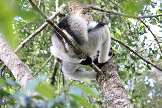 この姿は・・<br />