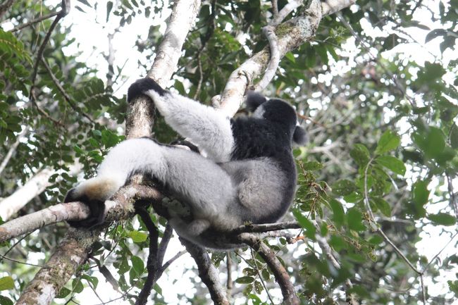 こっち向いてケロ