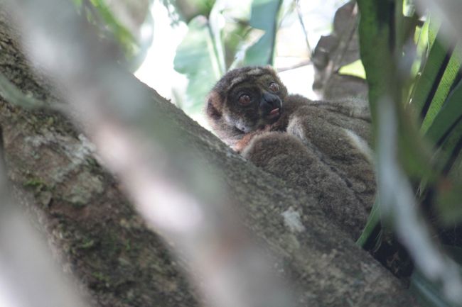 こんな可愛い子ちゃんも