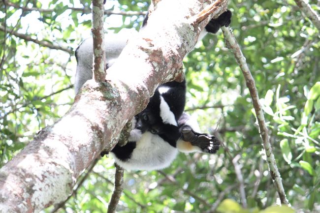 親指の大きさにびっくり