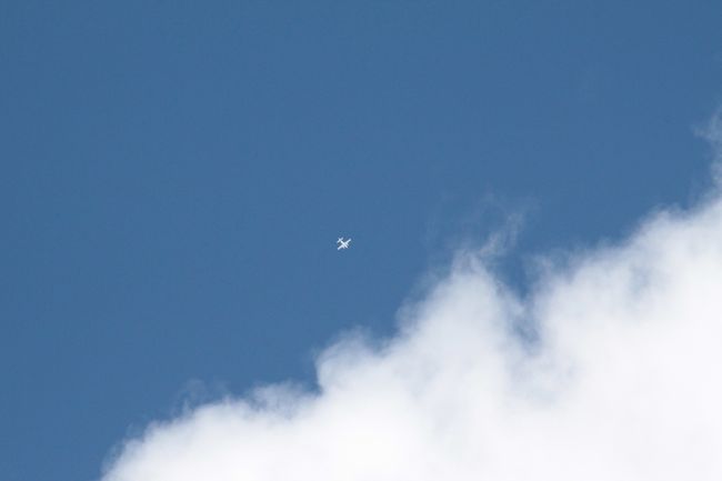 他にも色々な動植物をみれてあっという間の2時間でした<br /><br />宿を移動し、次はレミュールパークへ行ってきます