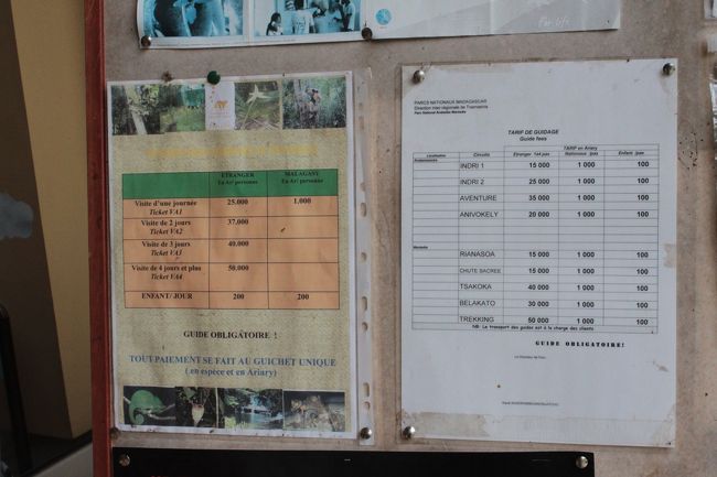 いくつかのコースがあり、最短の2時間でもインドリには会えるとのことだったので、専属ガイドさんの案内で2時間15000Arのコースを選択<br /><br />ここは5種類のシファカや120〜130頭のインドリ、見たこともない昆虫、植物など色んな物が生きています