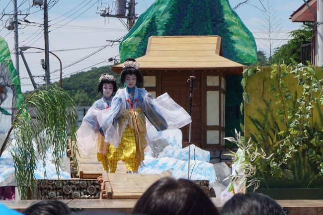 またまた珍客ですよ～