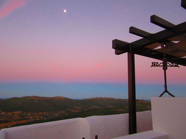 だいぶ陽が出てピンク色に染まってきた！