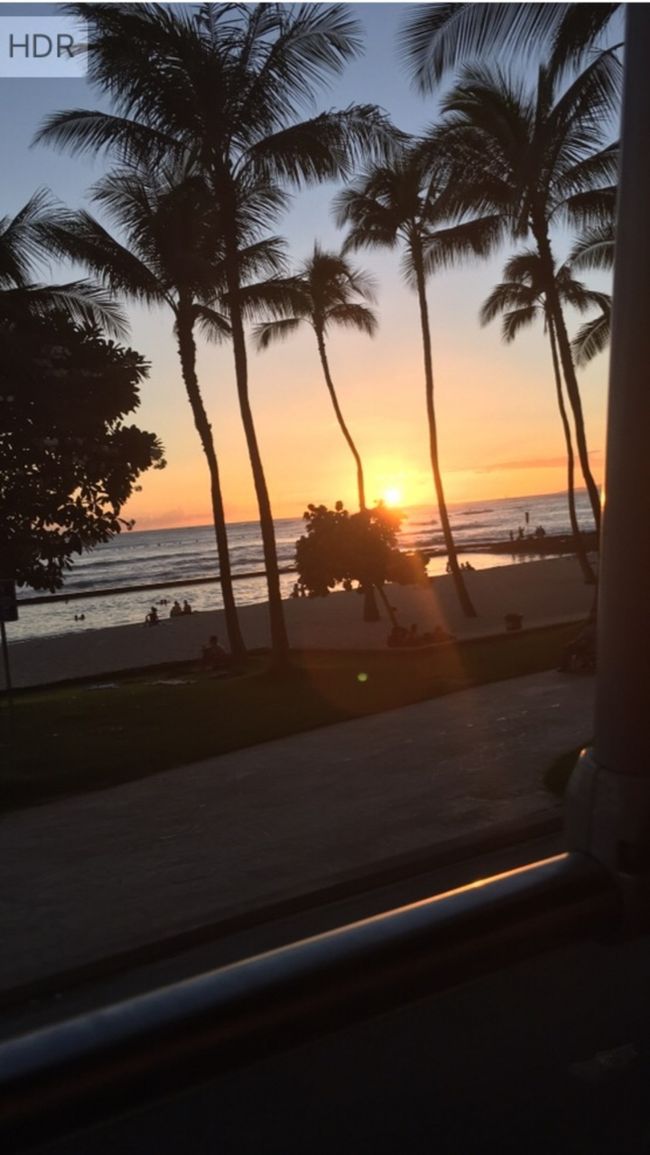 トロリーに乗りアラモアナ方面へ向かいます。<br /><br />ワイキキビーチは、サンセットを見ようとたくさんの人が集まっていました。<br /><br />この時１８時３９分。<br />キレイなサンセット、トロリーの車窓から撮りました。<br /><br />この後はドンキでお土産類とポキを購入し、アラモアナの白木屋で$１ビールと夕食食べました。<br />ホントにバカのひとつ覚えでスミマセンσ(^_^;)<br /><br />さて、明日はなにをしましょうか〜<br /><br />つづく