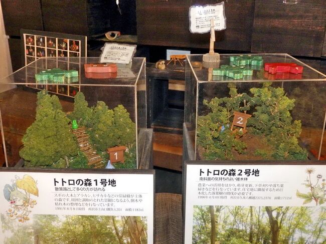 トトロの森 と クロスケの家 所沢 埼玉県 の旅行記 ブログ By ペコちゃんさん フォートラベル