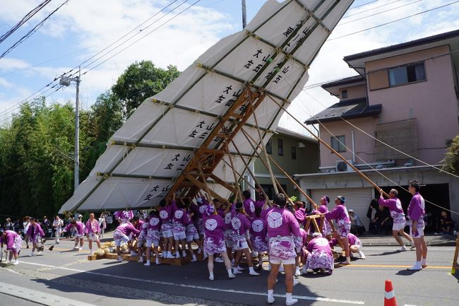 大事な山だけに、