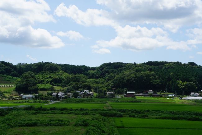 さて、ここからまたシャトルバスを当てにしていたのですが、待ち時間がかなりある。<br />それならということで、次の目的地、龍門の滝までは歩いていくことにしました。