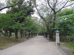 飛鳥山公園

八大将軍・徳川吉宗は江戸庶民の行楽地として飛鳥山に千本以上の桜を植樹。
以降、現在に至るまで桜の名所として親しまれています。

