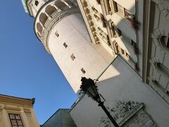 火の見塔は一度火事で焼け、再建されたもので、中間部と回廊は　ルネッサンス様式、上部はバロック様式で造られています。塔の真下の門は、｢忠誠の門｣　と言われ、第１次世界大戦の敗戦後、オーストリアに属することになっていたのが、住民投票によってハンガリーに帰属したこと記念をして造られたものです。