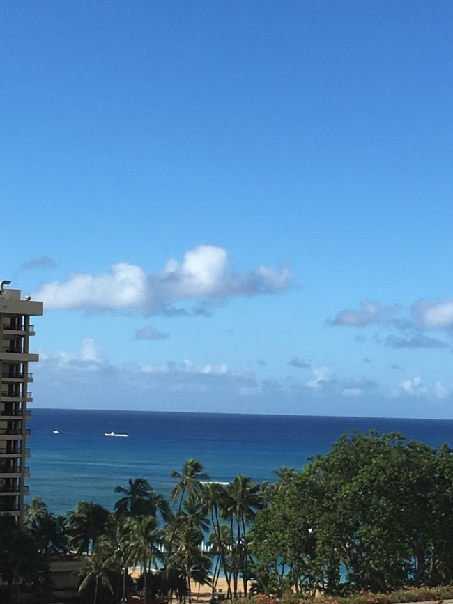 ７日目です☆<br /><br />今日もいい天気♪<br /><br />明日は帰国。<br />つまりは、今日がタップリ遊べる最終日です。<br /><br />タロさん、昨日はプールに行かなかったので、今日は朝からプールに行きま〜す！！