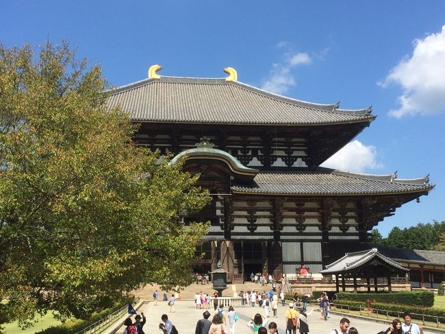 東大寺に到着。<br />さすが東大寺！観光客で賑わってます！