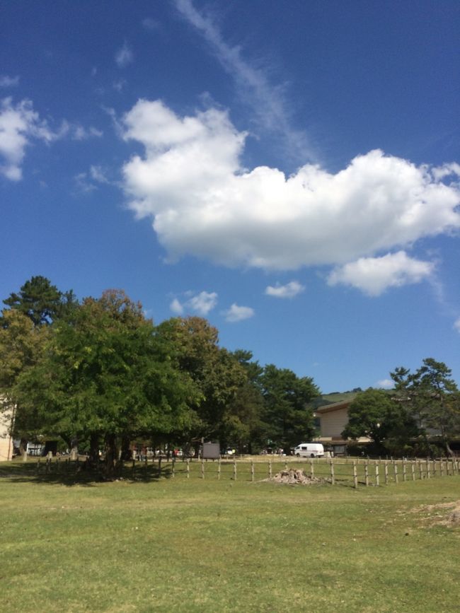 この後、大阪から関空に行き帰路へ。<br />短時間でしたが奈良観光、とっても面白かったです。