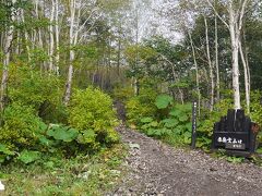 バスの到着は8:05．登山口到着8:21。登山スタート。