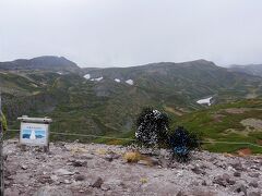 13:05黒岳山頂。下山時間とリフトの時間を合わせて50分程度でロープウェイ乗り場に行く必要がある。無理っぽいがあきらめない。