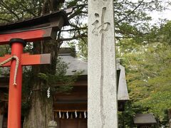 忍草（しぼくさ）浅間神社

この石碑に刻まれている「浅間神ー社」の「神」が随分長く伸ばされていますね。
何か意味があるのでしょうか？