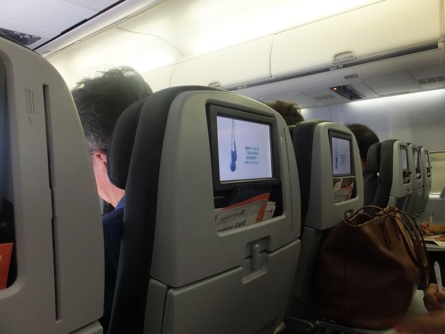 【仁川→成田】<br /><br />最後のフライトはエコノミー。<br /><br />疲れ果てて眠って目覚めたら成田でした<br /><br />１０日の中欧周遊。少し欲張りすぎたのであわただしい旅程とはなりましたが、打つくしい中欧らしいいろんな街を堪能できました。<br /><br />食事も美味しくとってもいい思い出となりました。