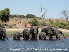 チョベ川(Chobe River)を渡ろうとするアフリカゾウ(Loxodonta africana)です。


Chobe River：https://en.wikipedia.org/wiki/Cuando_River
アフリカゾウ：https://ja.wikipedia.org/wiki/%E3%82%A2%E3%83%95%E3%83%AA%E3%82%AB%E3%82%BE%E3%82%A6