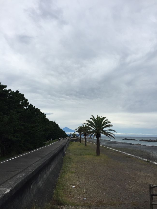 やっぱり富士山をみると静岡県民に戻ってしまいます と ベトナムに旅立つ娘婿の見送り後に半田の赤煉瓦を見に行く 焼津 静岡県 の旅行記 ブログ By Rinnmamaさん フォートラベル