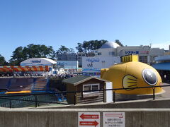 東尋坊で散策と観光船乗船をする予定でしたが、海の波が高く船は欠航ぽかったので、代わりに、タクシー運転手さんに勧められ、道中にある越前松島水族館に行くことにしました。
メーターを止めて待っていてくれるとのことで、すず丸も行きたいというので、それならと水族館へ。
規模はそれほど大きくなさそうですが、敷地は広く、いろいろな棟が点在しています。
この日は、あちこちの小学生が遠足に来ていました。
