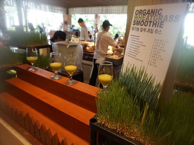 身体に良さそうって思っちゃうジュース。