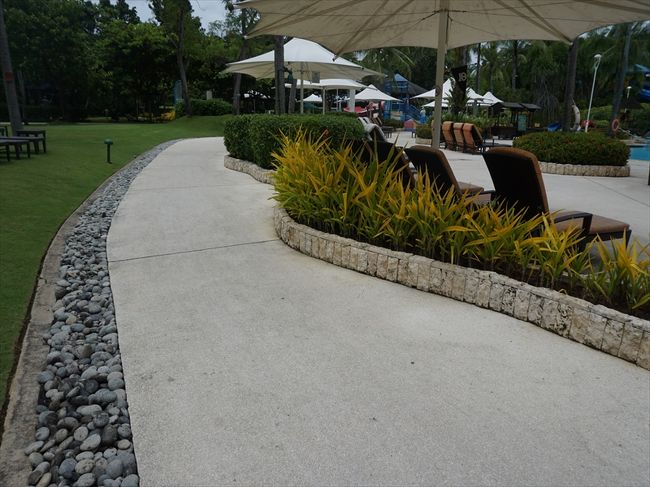 整備されたお庭。