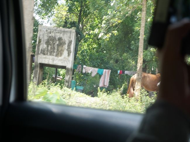 こんなところを通って着いたのは、