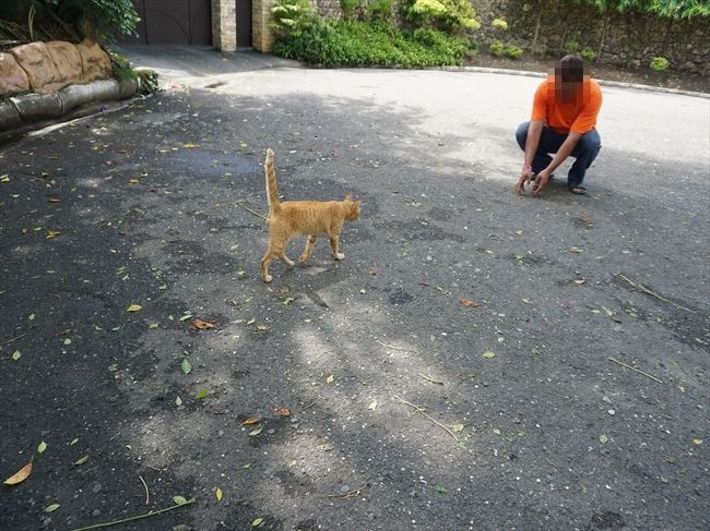 抱え上げてくれた守衛さんに、<br />ものすご～～く懐いてて。<br /><br />この守衛さんが遠くから呼ぶと、<br />あんなに、ごろーんとしてたのにとことこ歩いて撫でられに。<br />可愛すぎるーーー(≧∇≦*)